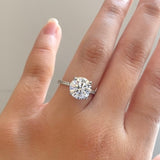 Round Brilliant Solitaire Pavé