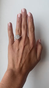 Radiant Cut Trilogy Classic | Calf Head Sides