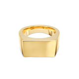 Deltora Diamonds Mens Signet Ring in Yellow Gold.